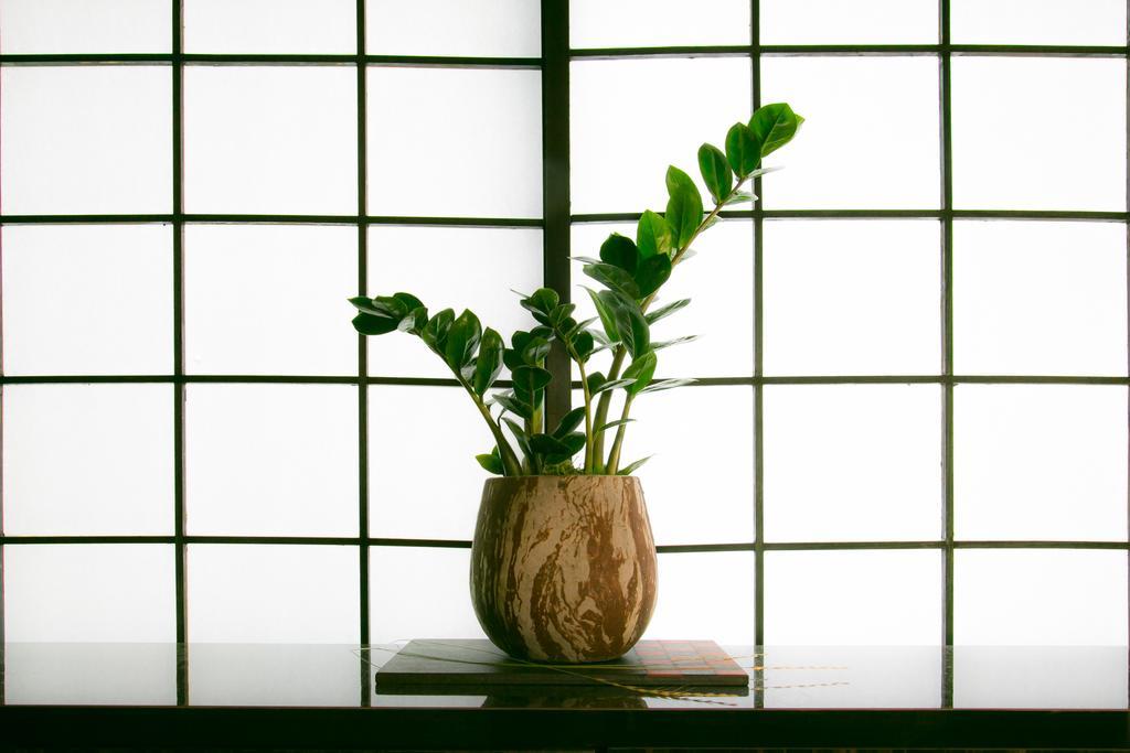 Hosta Nijo Aoi Villa Kyoto Exterior photo
